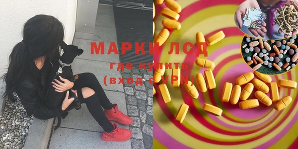 MESCALINE Инта