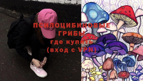 MESCALINE Инта